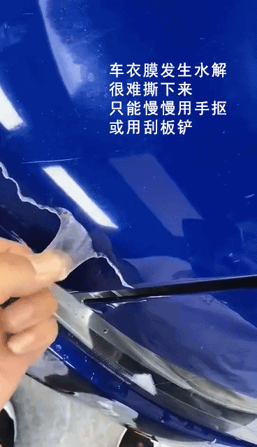 水解？别怕！舒莱美德助力“膜”问题