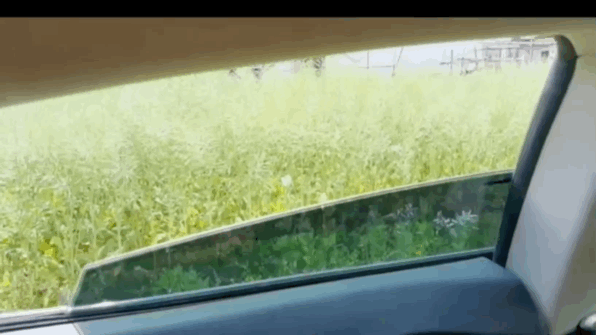 窗膜新赛道！实测车墨镜潮汐盾甲