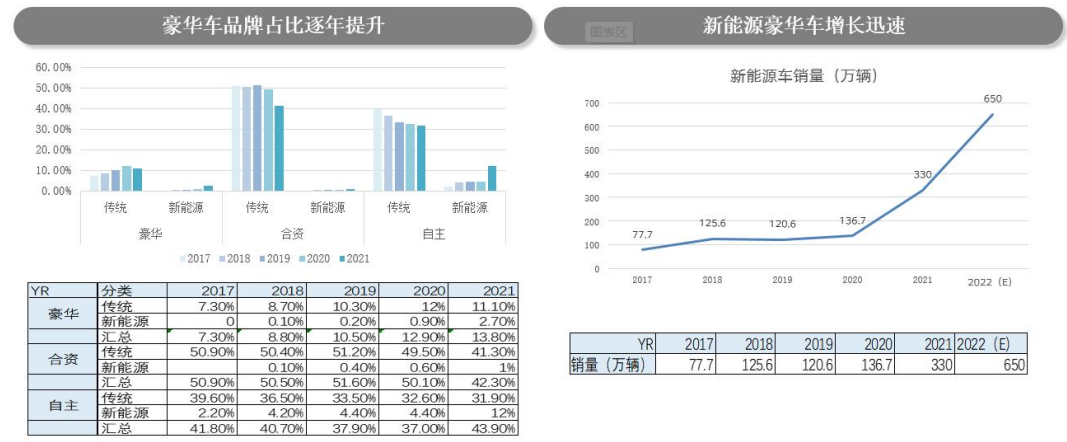 未来十年隐性车衣市场趋势分析