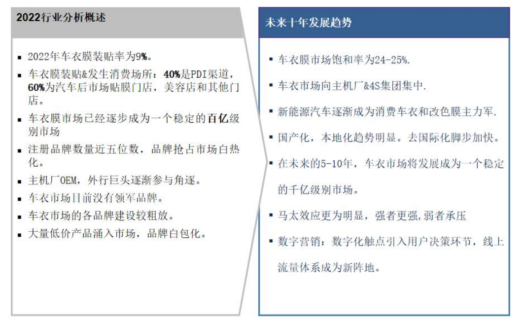 未来十年隐性车衣市场趋势分析